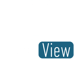 Ver video Flash View