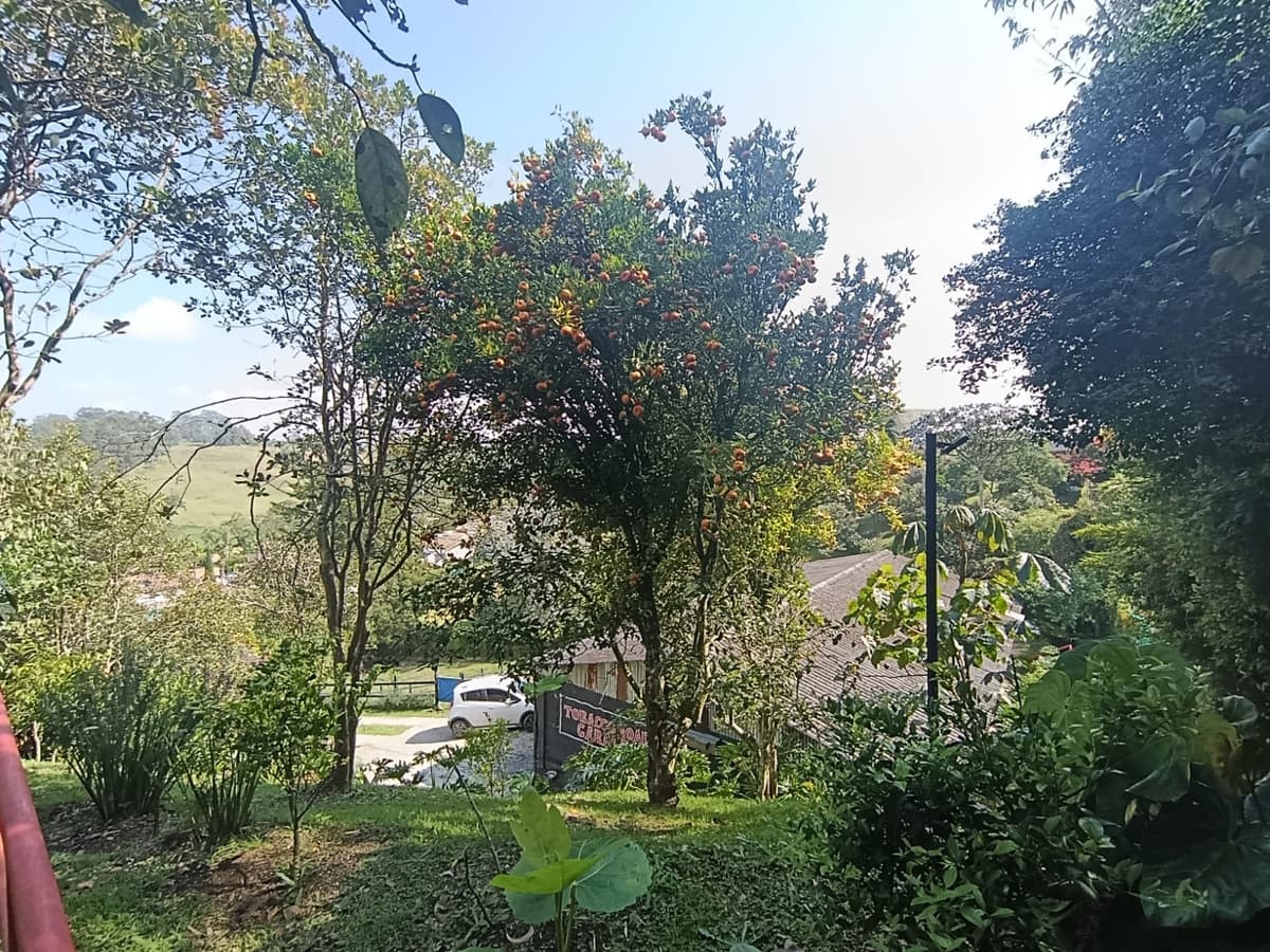RIONEGRO, RIONEGRO