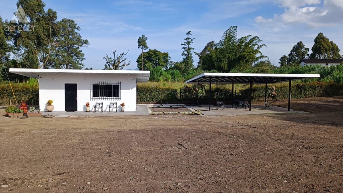 BARRO BLANCO, RIONEGRO